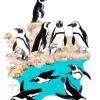 African Penguins