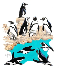 African Penguins