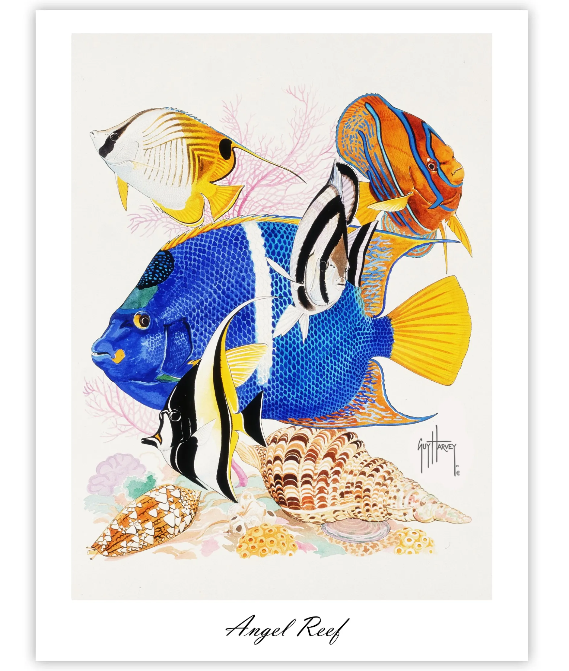 "Angel Reef - King Angel" Limited Edition Lithograph