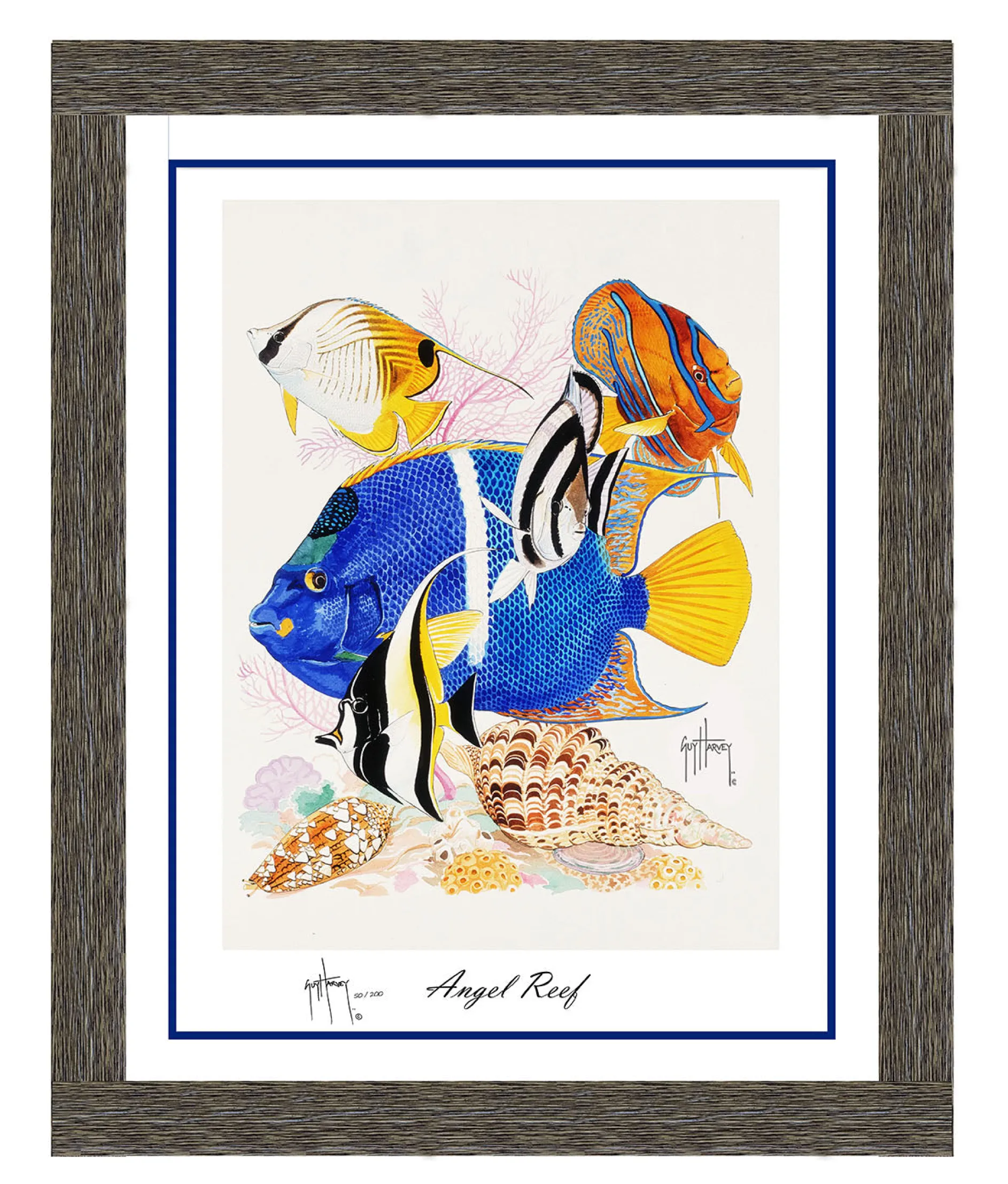 "Angel Reef - King Angel" Limited Edition Lithograph