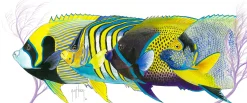 Angelface Pacific I
