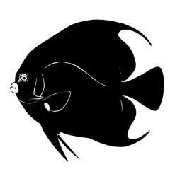Anglefish Ink Silhouette