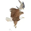 Bald Eagle and Peregrine Falcon