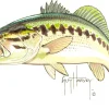 Bass Emb.
