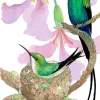 Bauhinia Nest