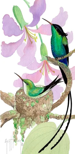 Bauhinia Nest