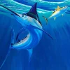 Big Bait, Big Fish
