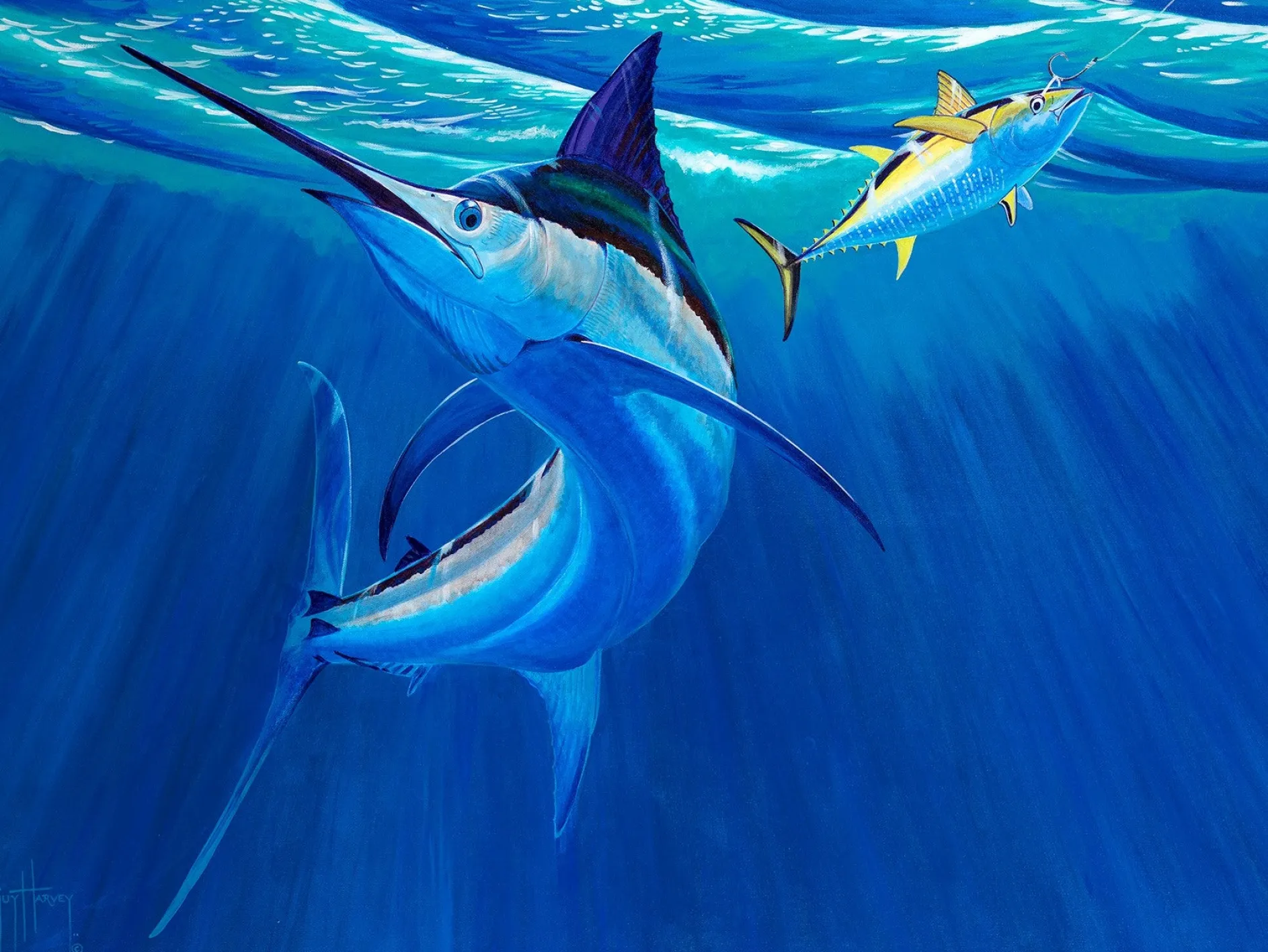 Big Bait, Big Fish
