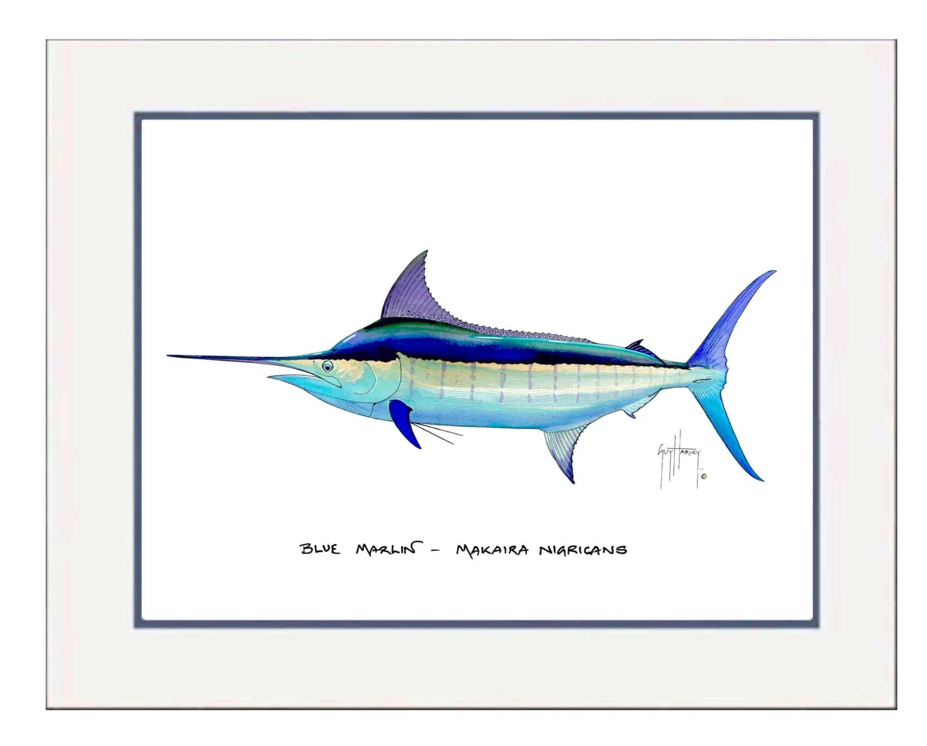 "Blue Marlin" Grande Mini Print