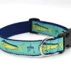 Bull Dolphin Dog Collar
