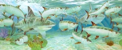 CARIBBEAN ENCOUNTER
