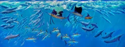 Commocean