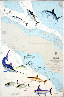 Cuba Middle Chart