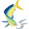 Dolphin and Three Flyfish I