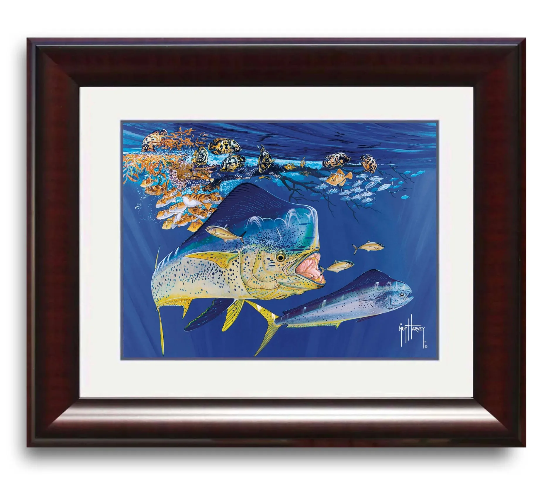 "Dolphin Summer" Mini Print