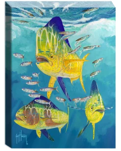 "Dolphin Trio" Small Canvas Art