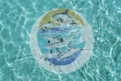 Dolphins Racing Medallion Mosaic - Small