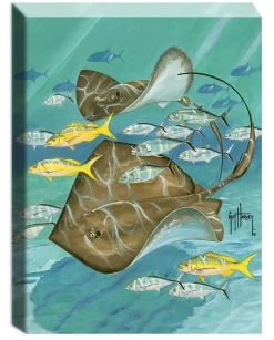 "Dual Stingrays" Small Canvas Art