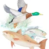 Ducks Unlimited