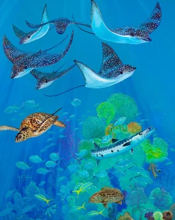 Eagle Ray Pass