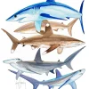 Endangered Sharks