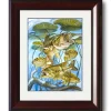 "Five Largemouth Bass Under Lily Pads" Grande Mini Print