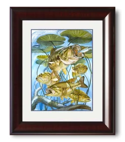 "Five Largemouth Bass Under Lily Pads" Grande Mini Print
