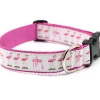 Flamingo Dog Collar