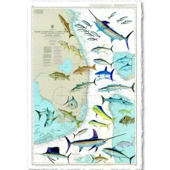 FLORIDA CHART