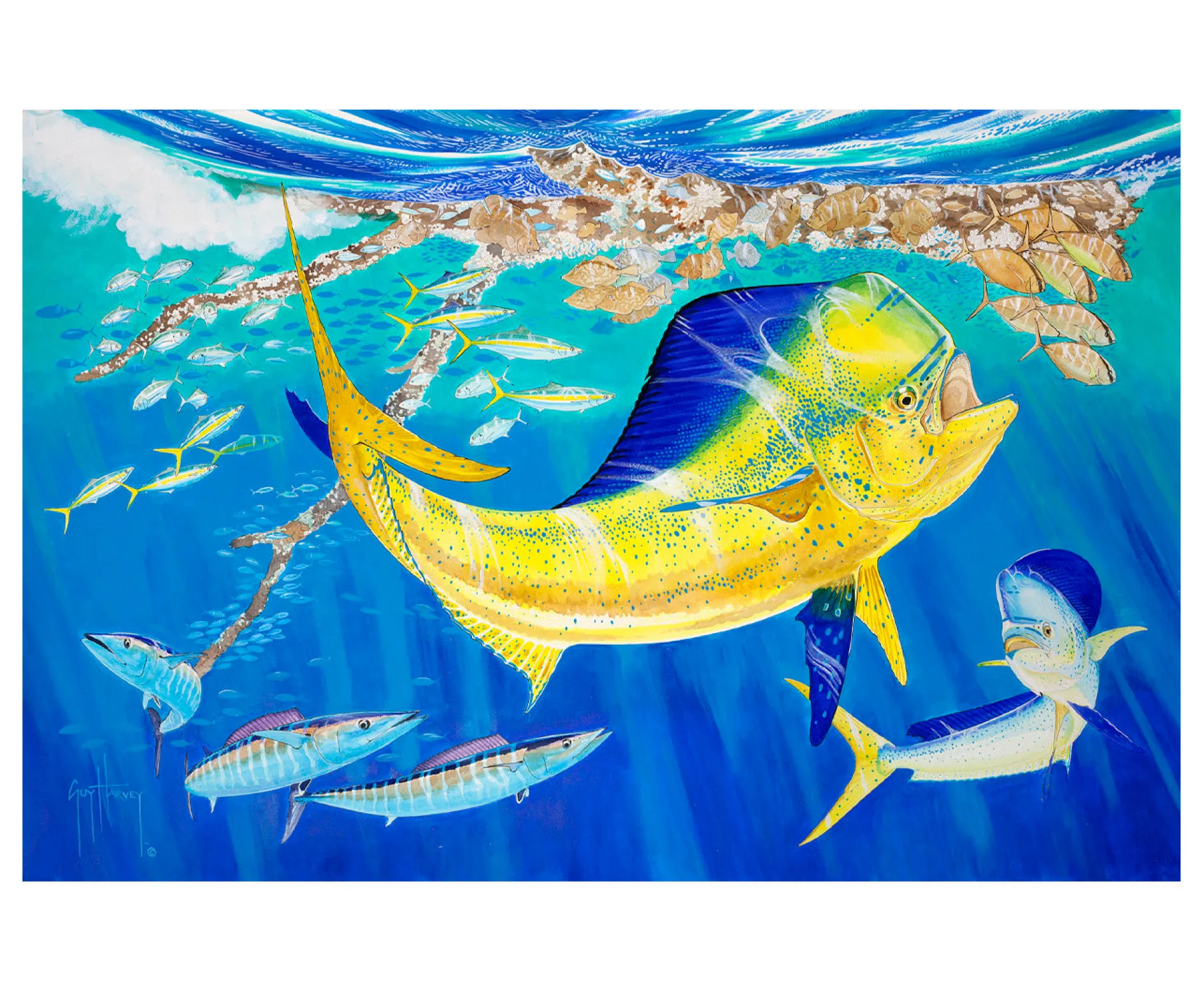 Fortitude Dolphin Oasis Phone Case