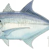 FOTOO GIANT TREVALLY