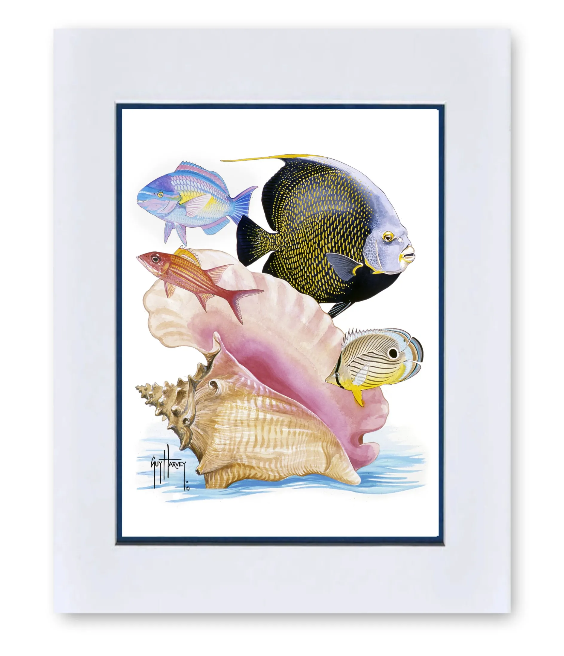 "French Angel and Conch" Mini Print