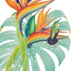 Green Mango Hummingbird with Bird of Paradise