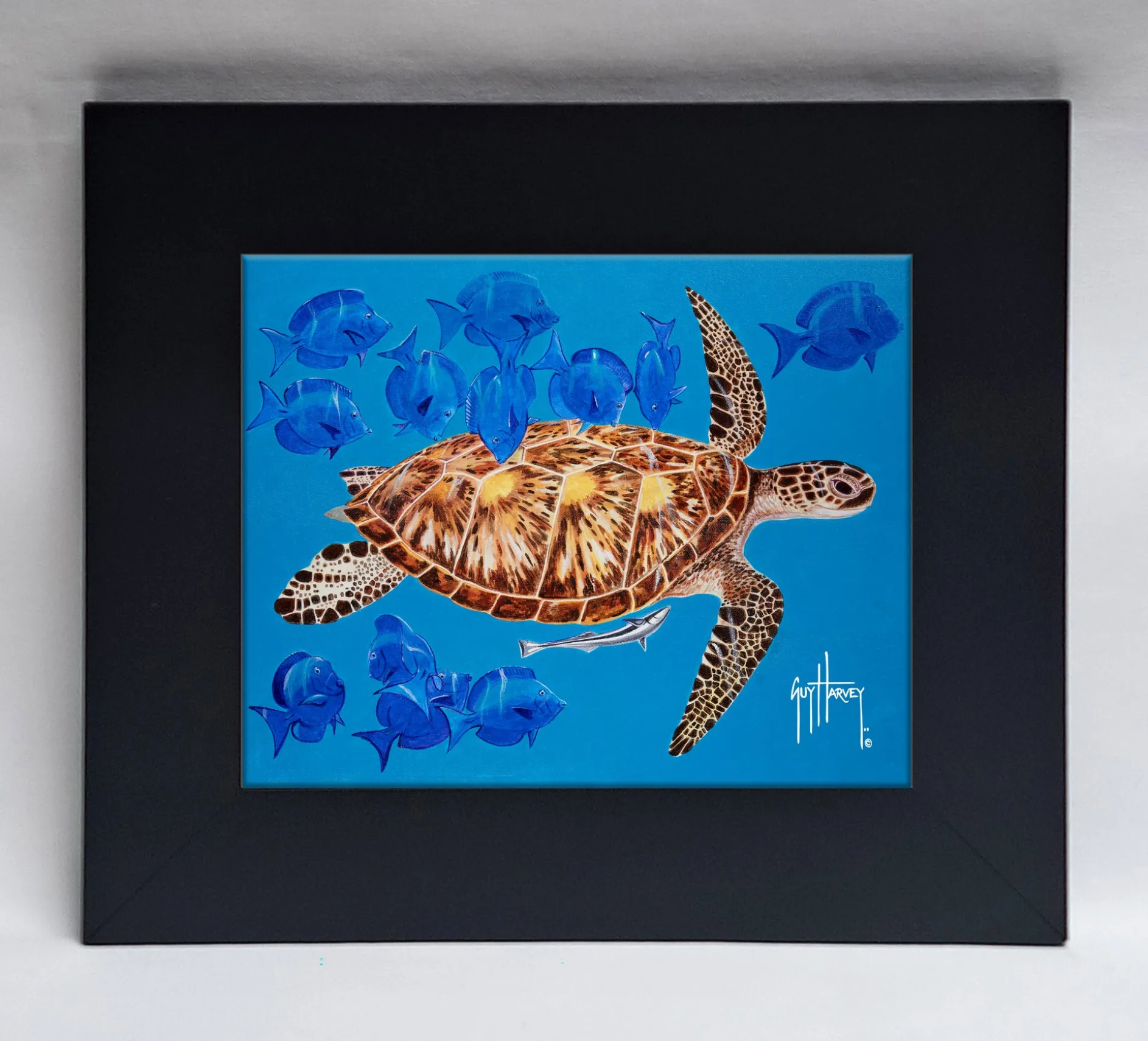 "Green Turtle & Blue Tangs" Tile Art