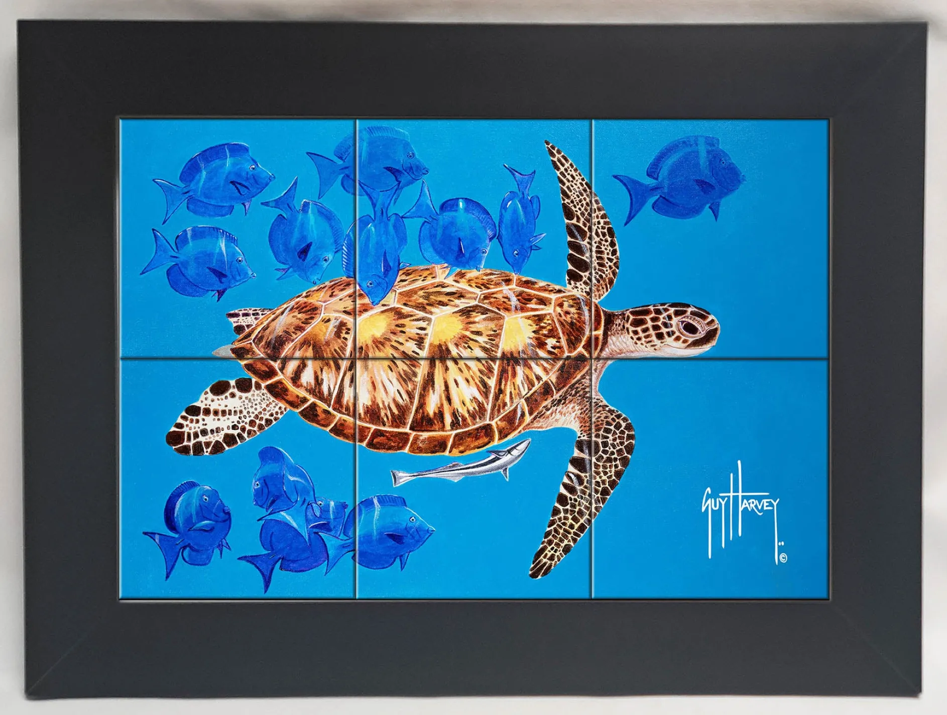 "Green Turtle & Blue Tangs" Tile Art