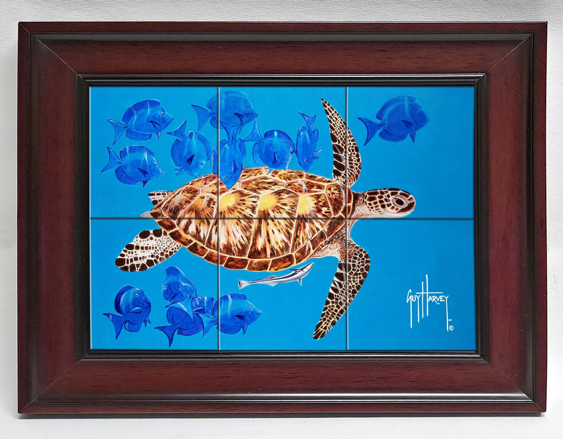 "Green Turtle & Blue Tangs" Tile Art