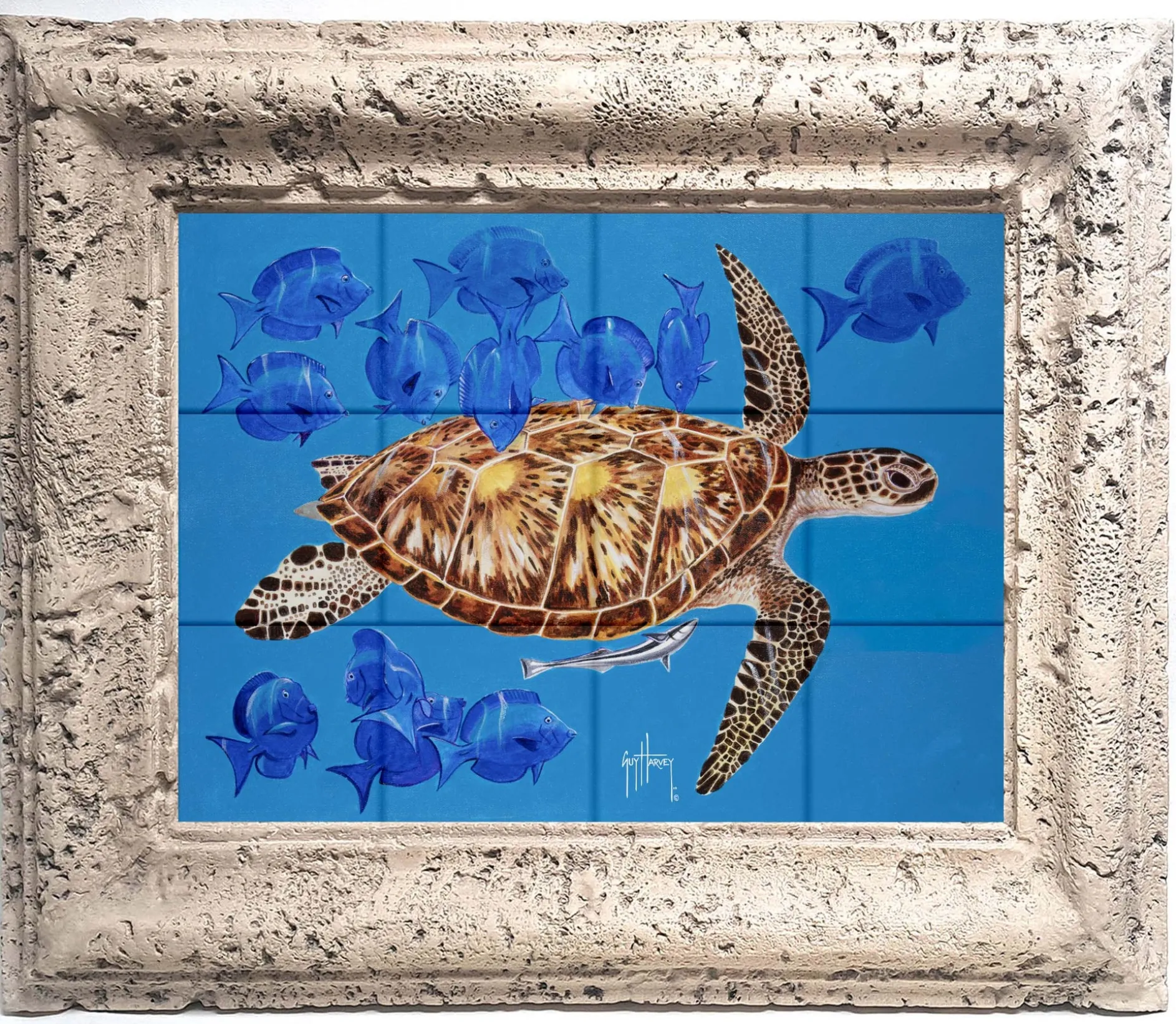 "Green Turtle & Blue Tangs" Tile Art