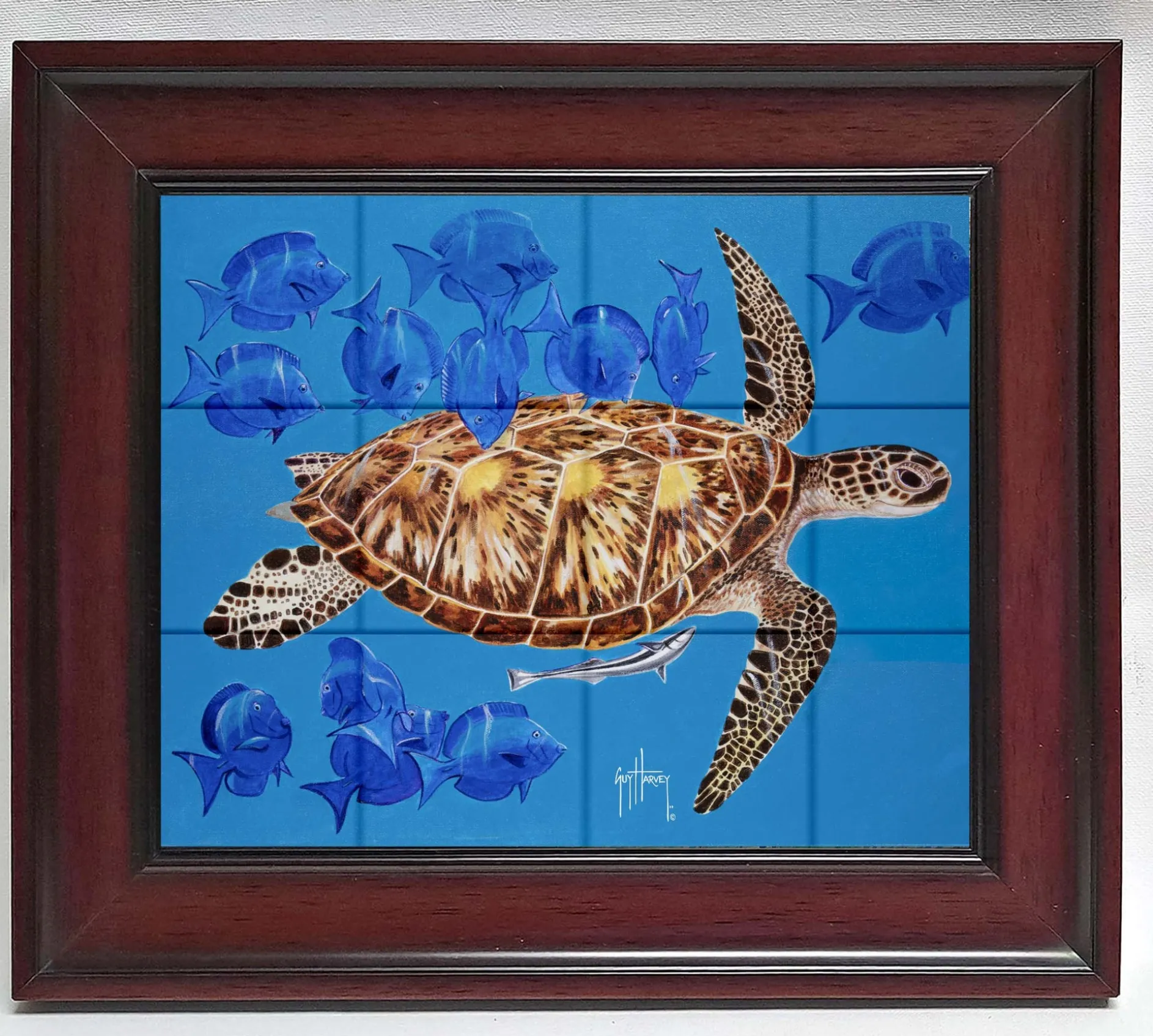 "Green Turtle & Blue Tangs" Tile Art