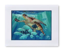 "Hawksbill Caravan" Mini Print