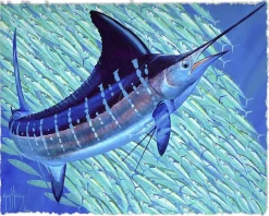 HOLY MACKEREL