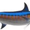 138 INCH BLUE MARLIN