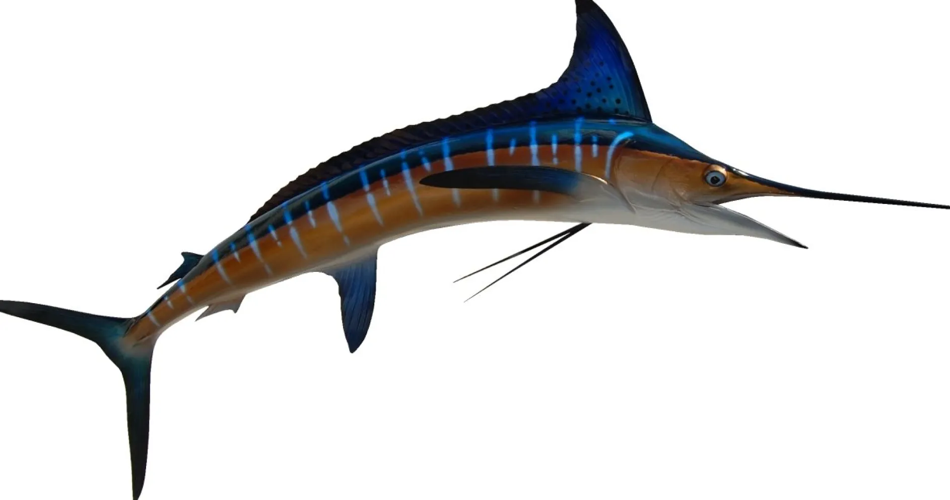 84 INCH STRIPED MARLIN