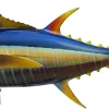 44 INCH YELLOWFIN TUNA