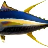 55 INCH YELLOWFIN TUNA