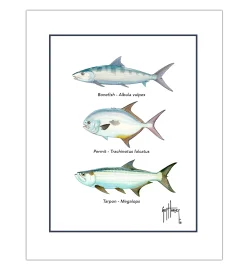 "Inshore Slam Species" Grande Mini Print