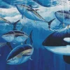KILLER WHALE AND BLUEFIN TUNA