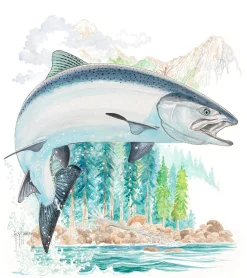 King Salmon II