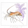LOBSTER