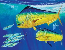 Mahi Guy Harvey Pet Bed