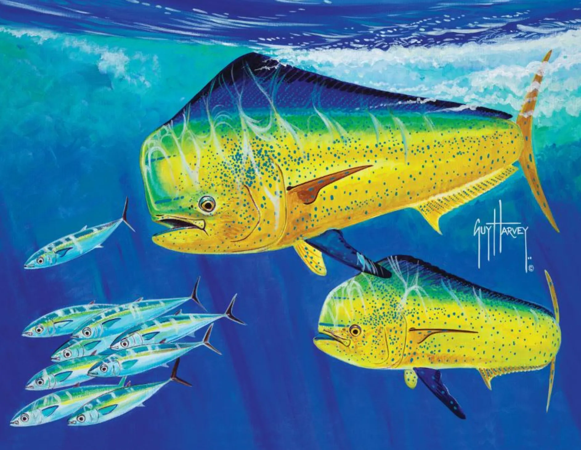 Mahi Guy Harvey Pet Bed